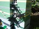 dsc01329.jpg
