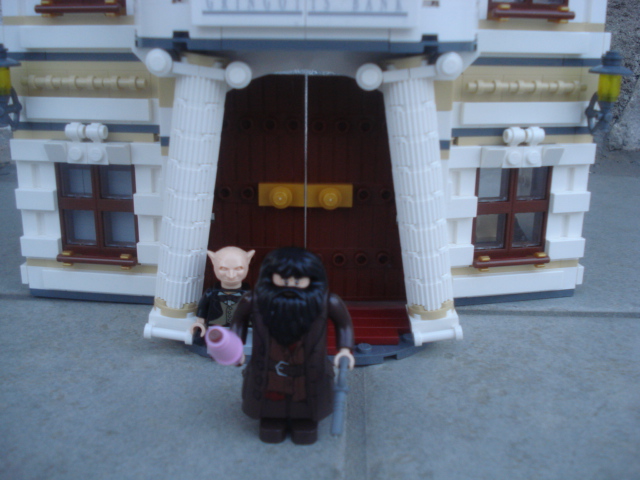 dsc00133.jpg