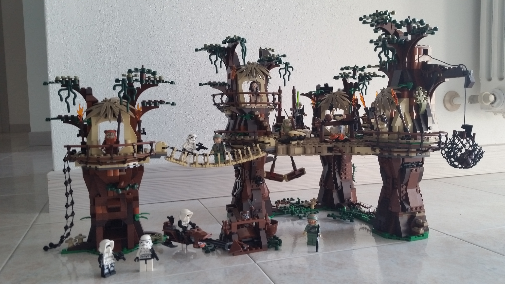 20150525_083315.jpg