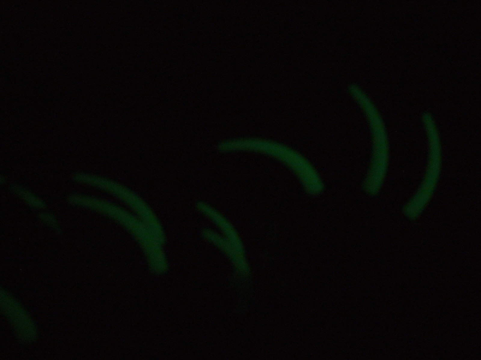 dscf0872.jpg