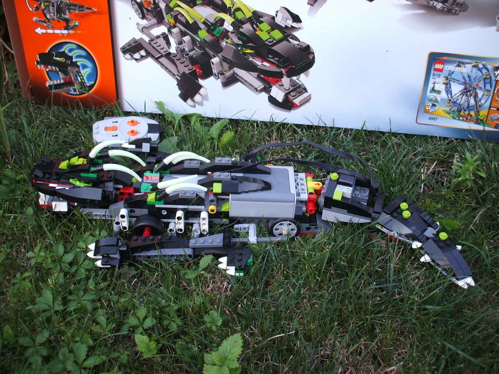 dscf0876.jpg