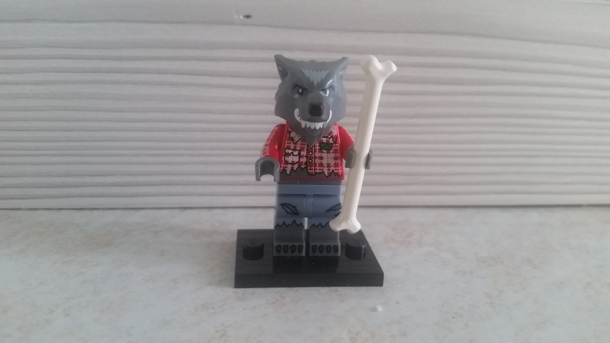20151003_080637.jpg