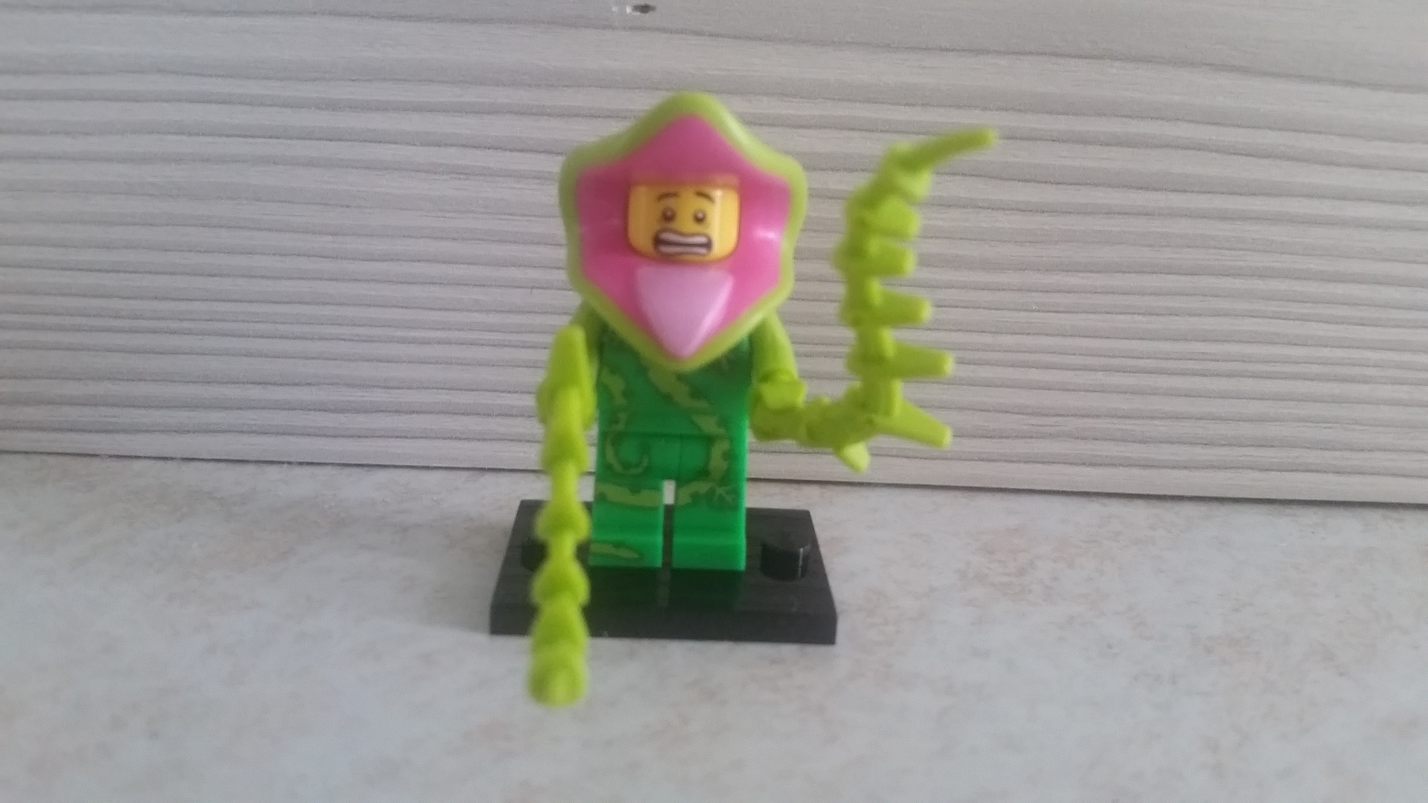 20151003_080752.jpg
