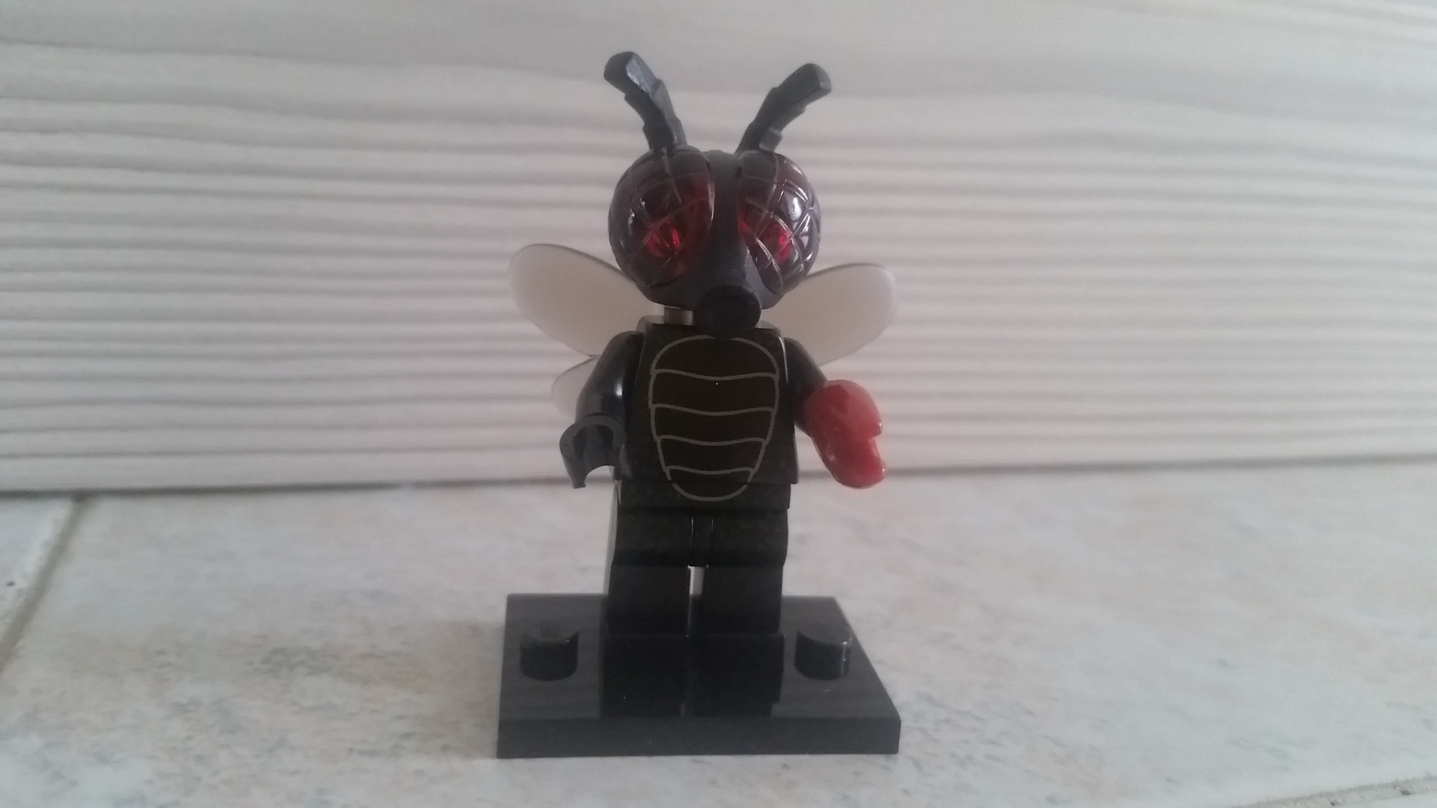 20151003_080837.jpg