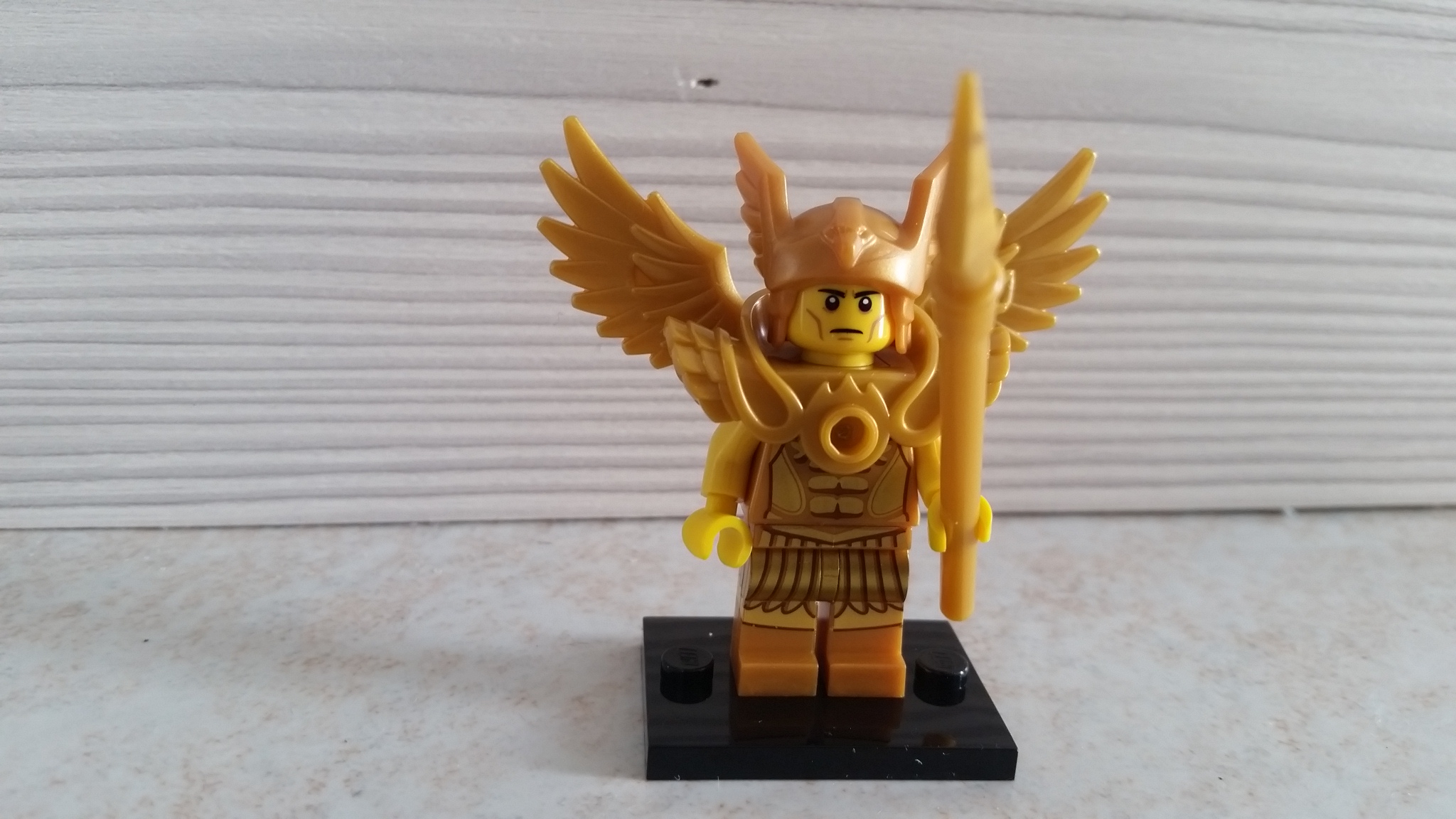 20160213_105531.jpg