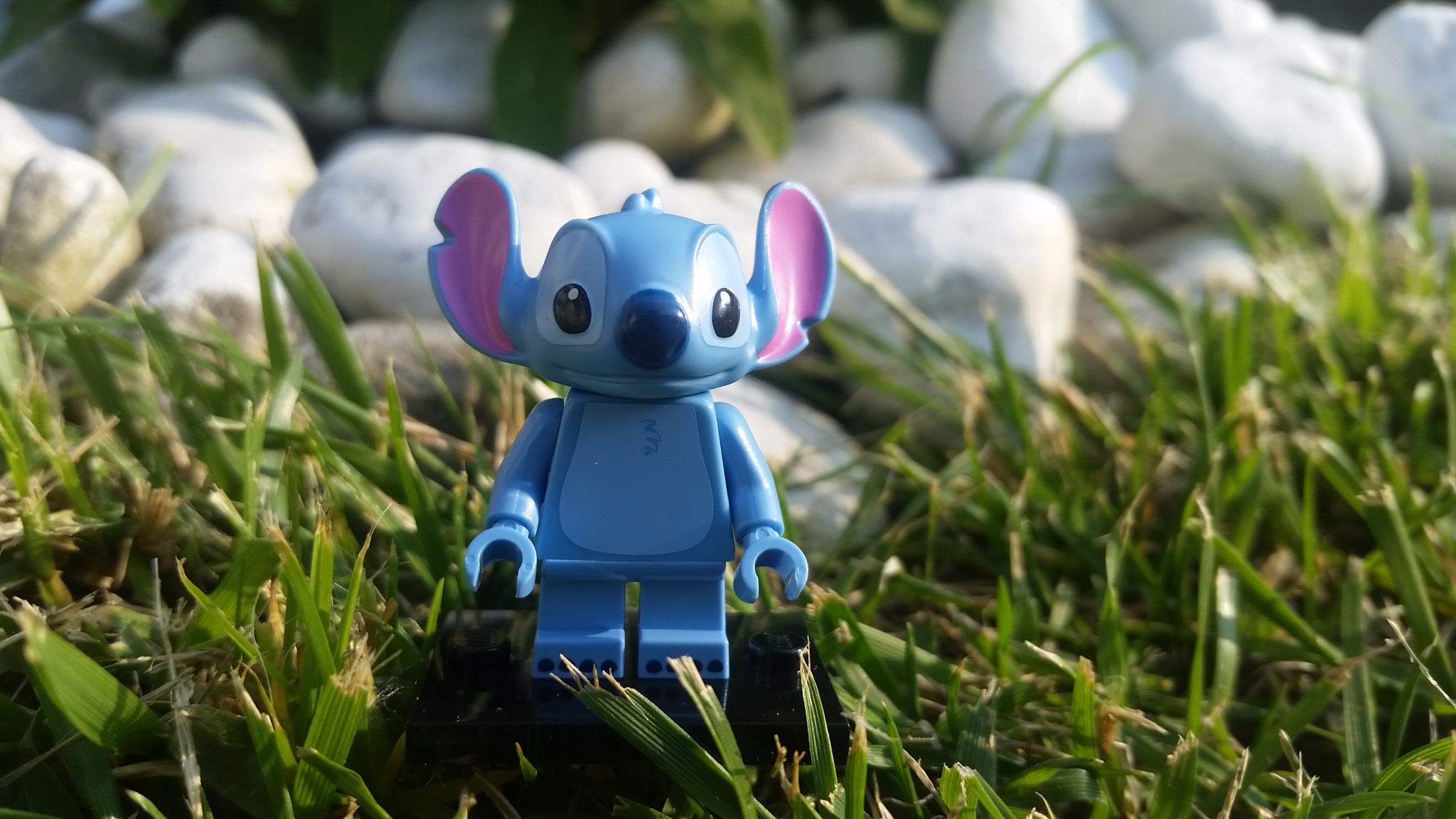 20160527_182315.jpg