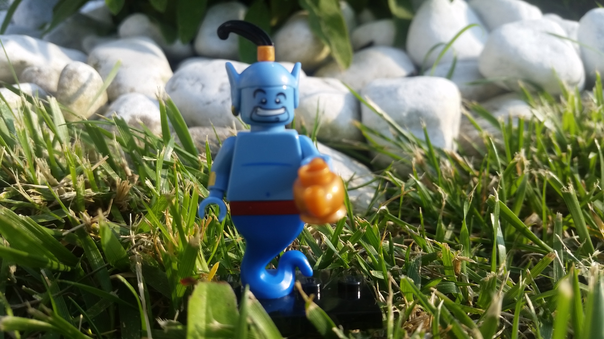 20160527_182459.jpg
