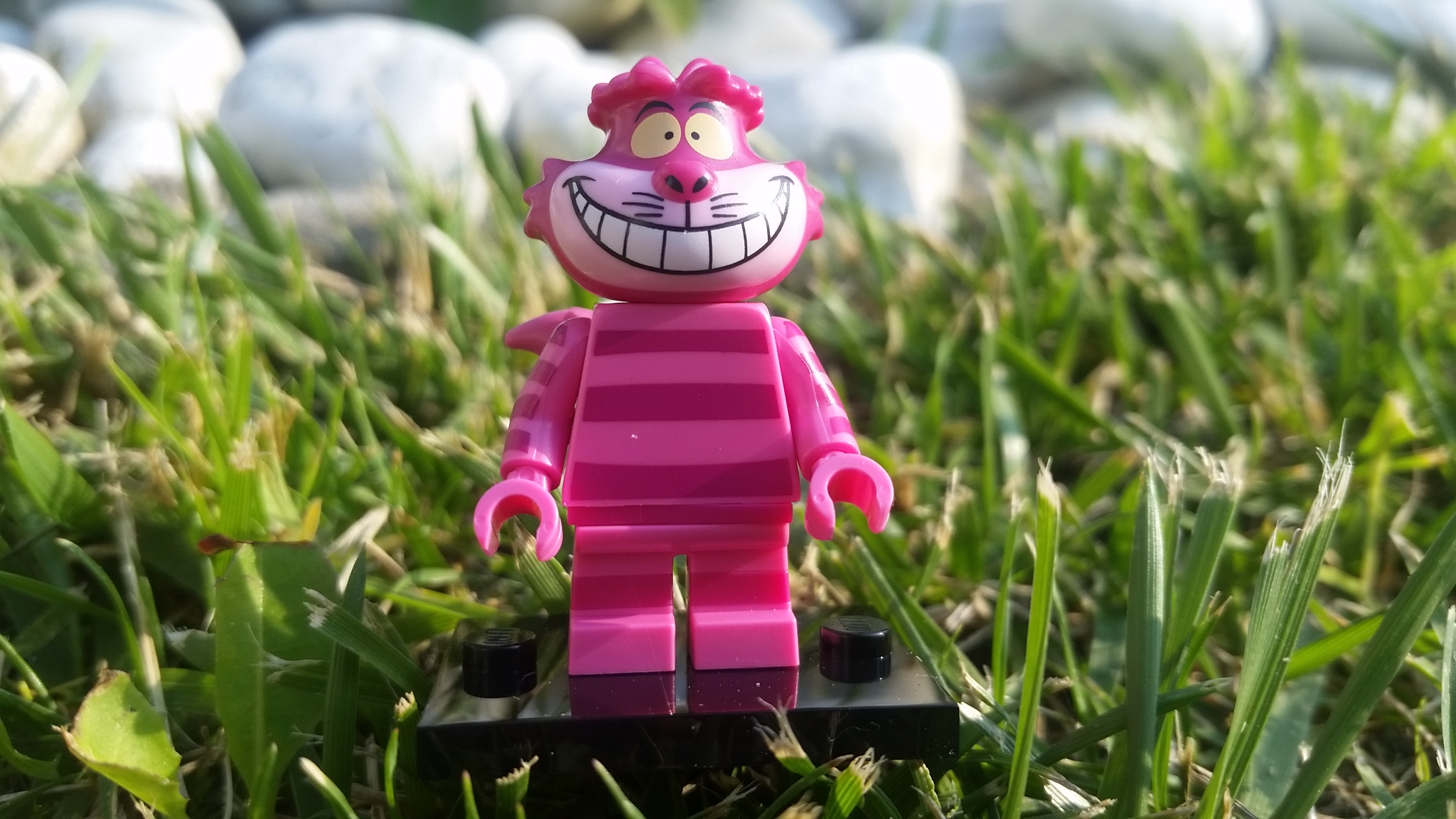 20160527_182558.jpg