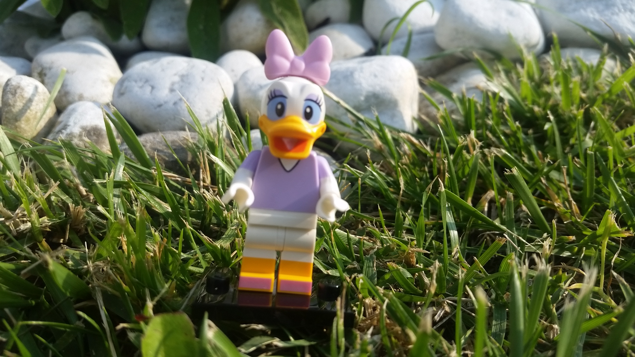 20160527_182617.jpg