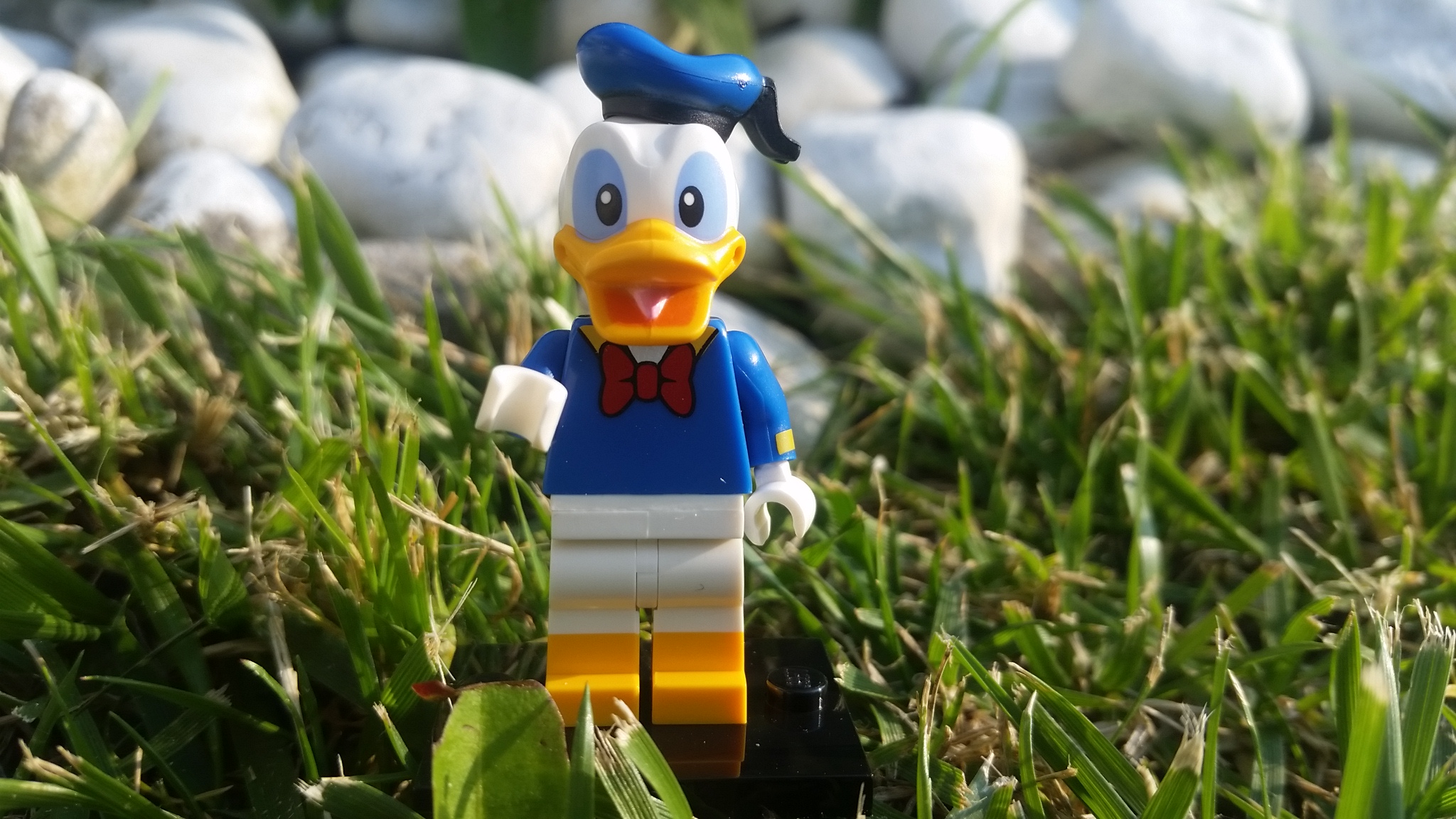 20160527_182634.jpg
