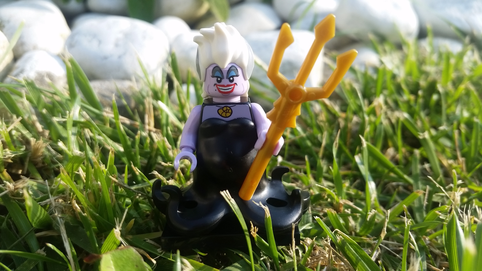 20160527_182838.jpg