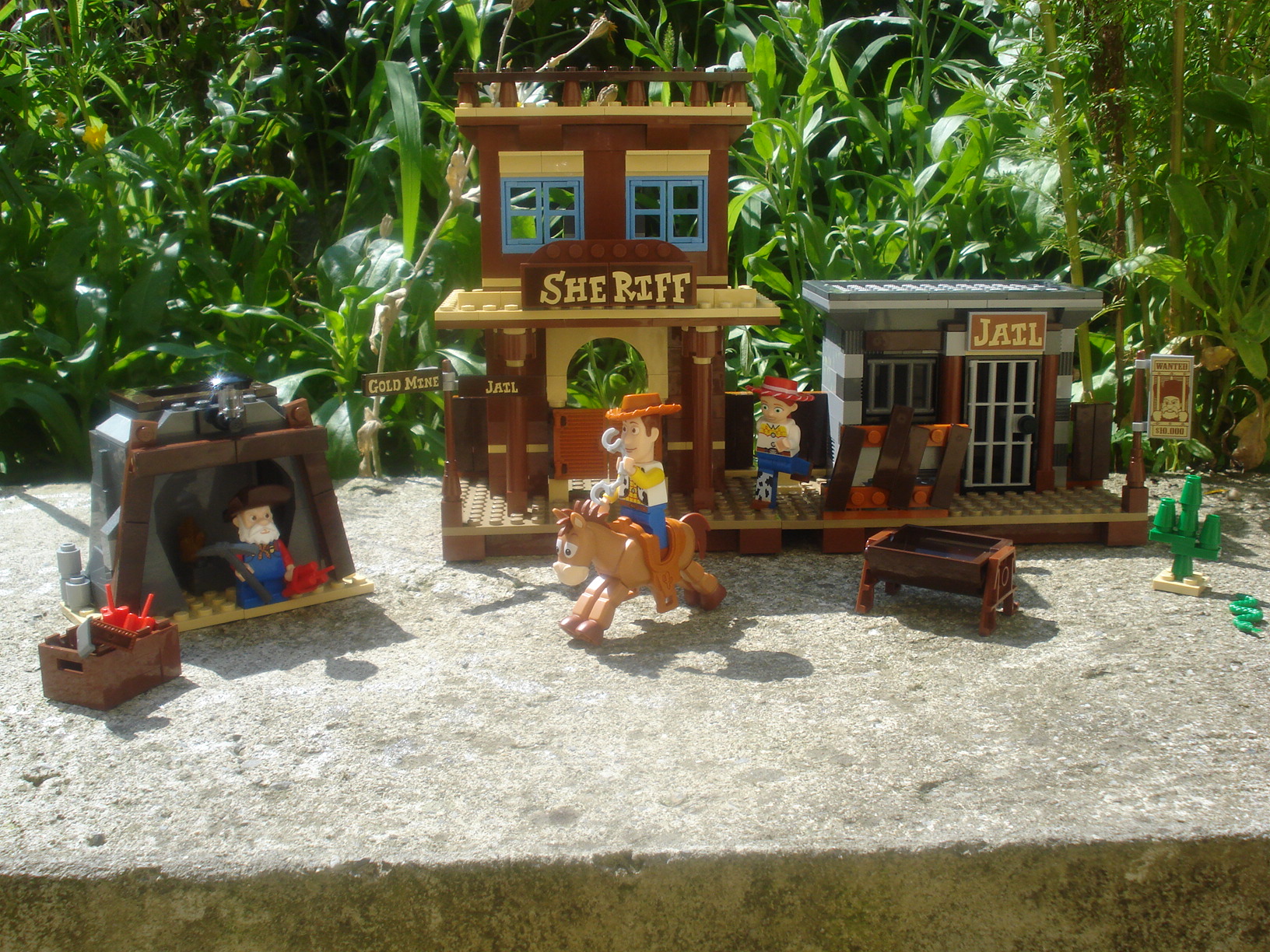 dsc00098.jpg