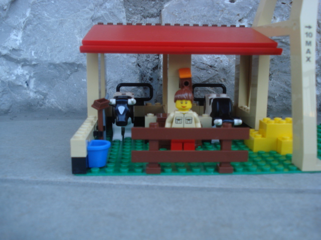 dsc00101.jpg