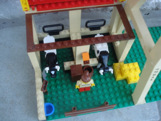 dsc00102.jpg