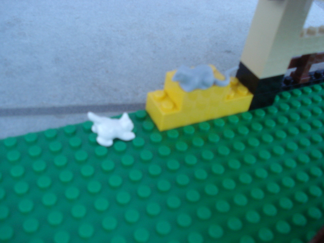 dsc00109.jpg