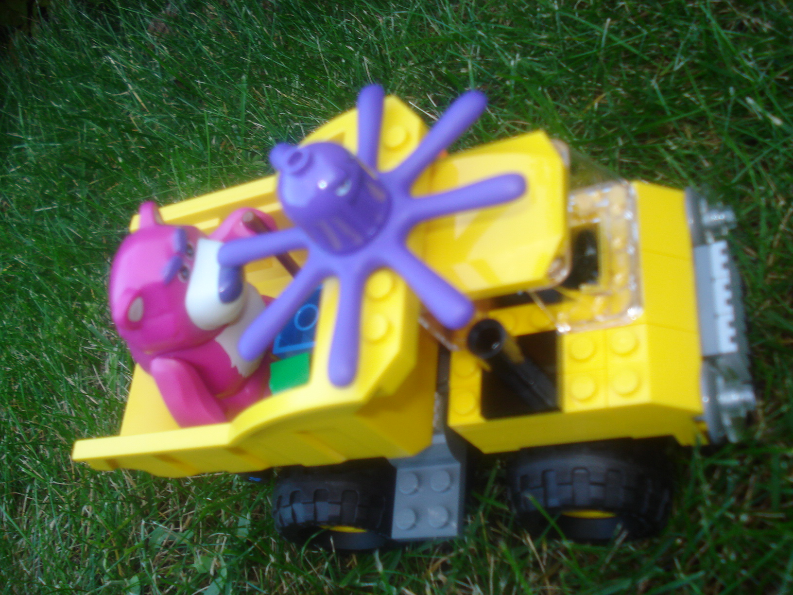 dsc00073.jpg