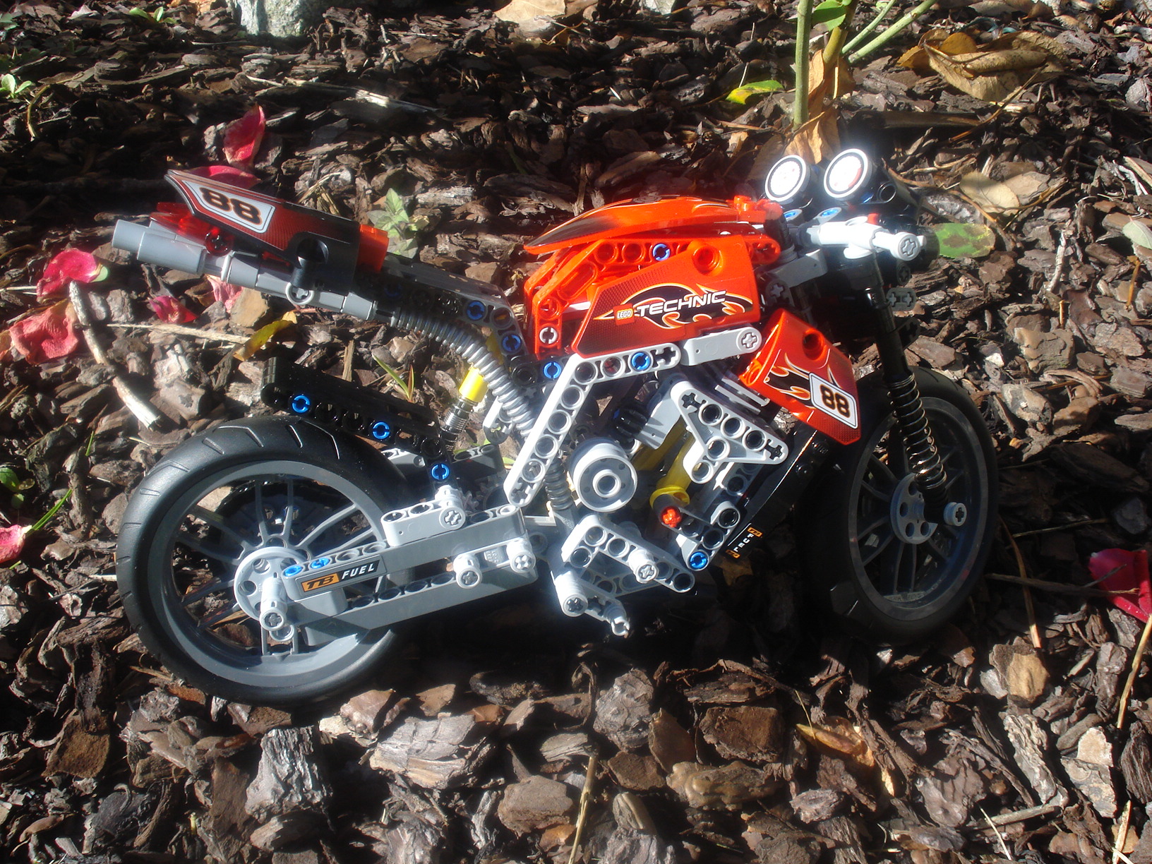 dsc00168.jpg