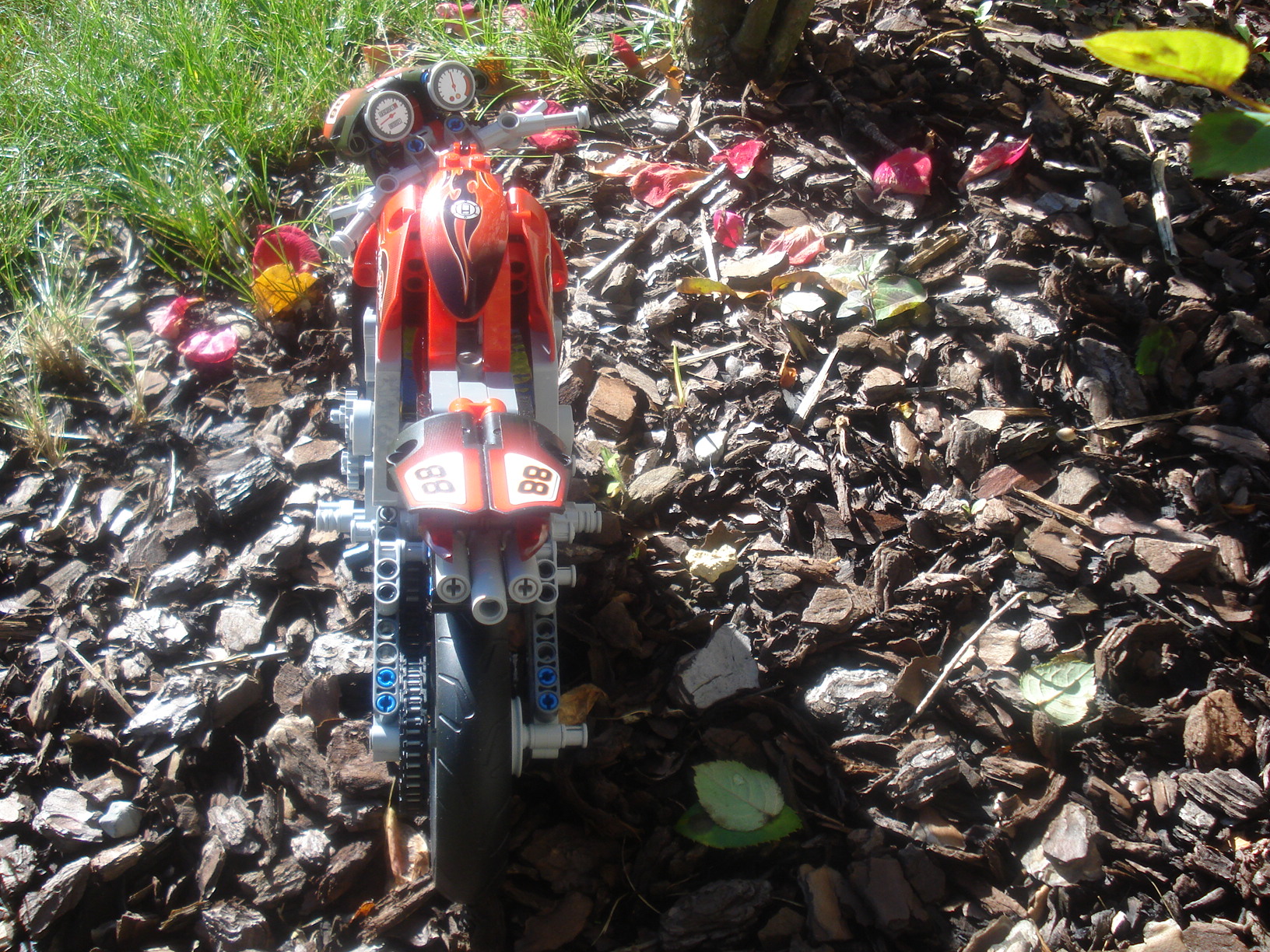 dsc00170.jpg