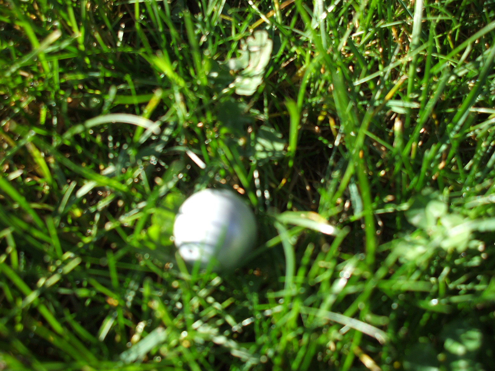 dscf1419.jpg