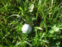 dscf1419.jpg