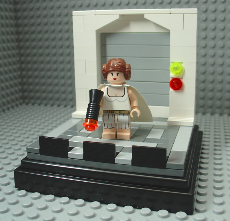 leia_8x8_03.jpg