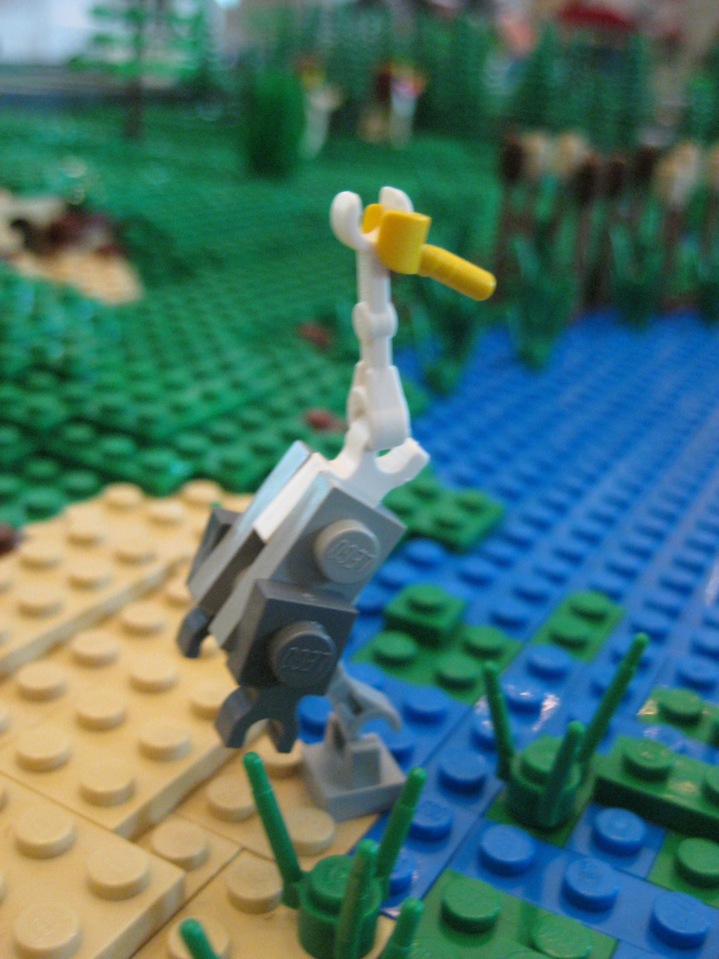 img_0918.jpg