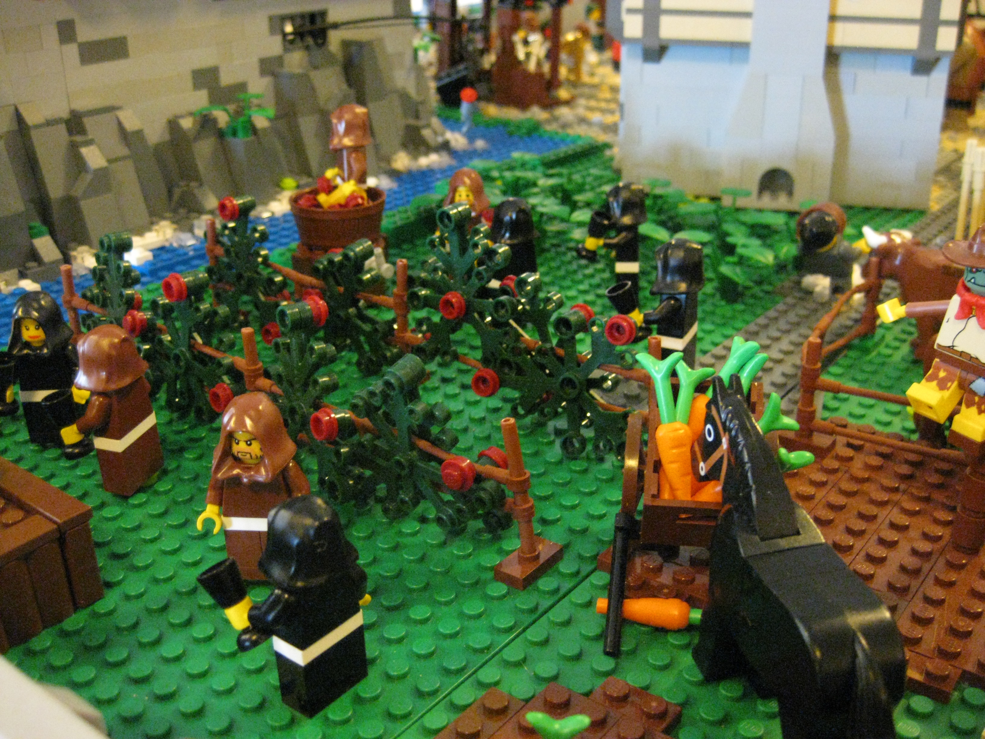 img_2145.jpg