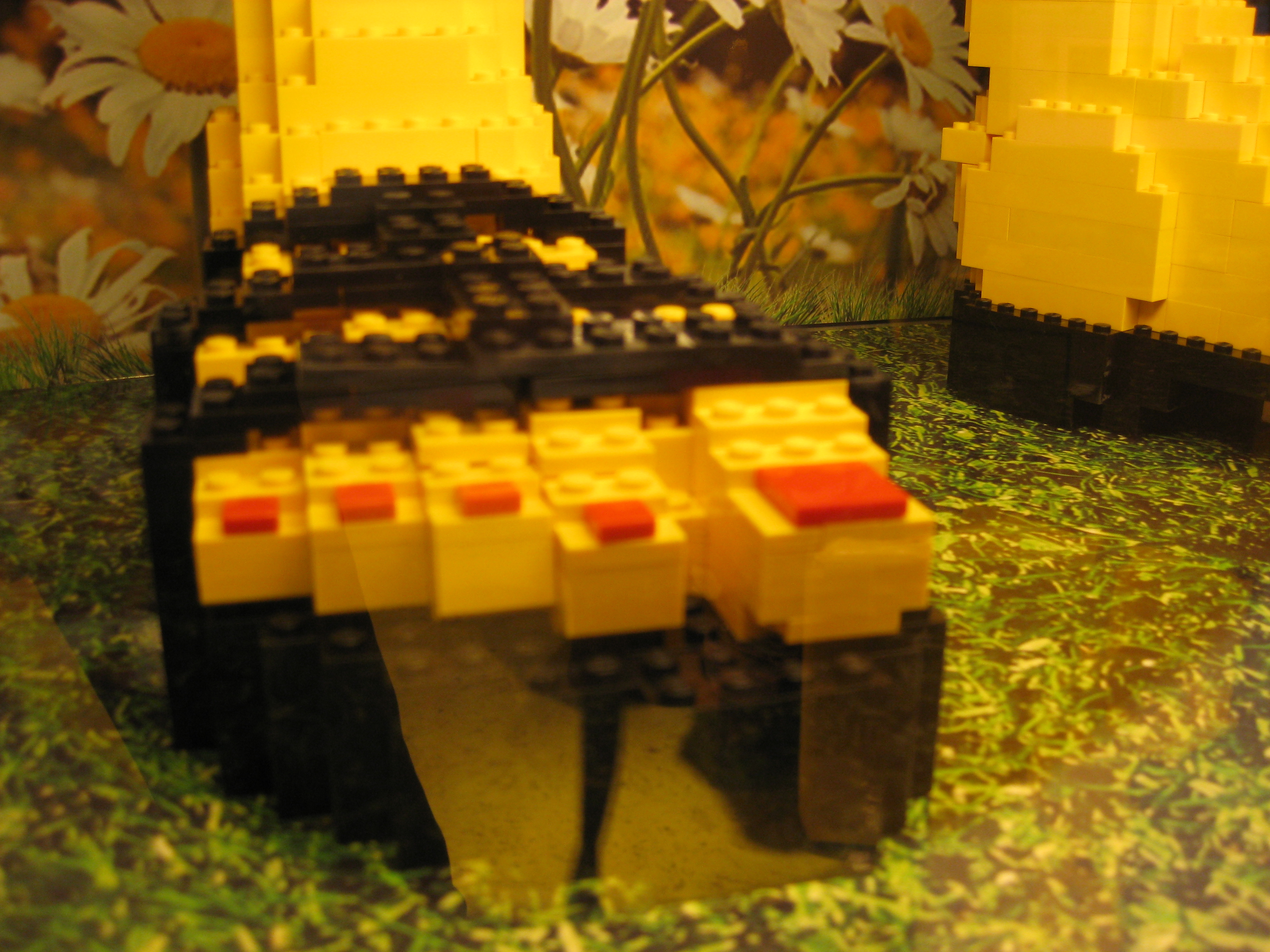 img_4479.jpg