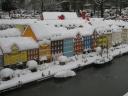 img_4204.jpg
