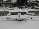 img_4205.jpg
