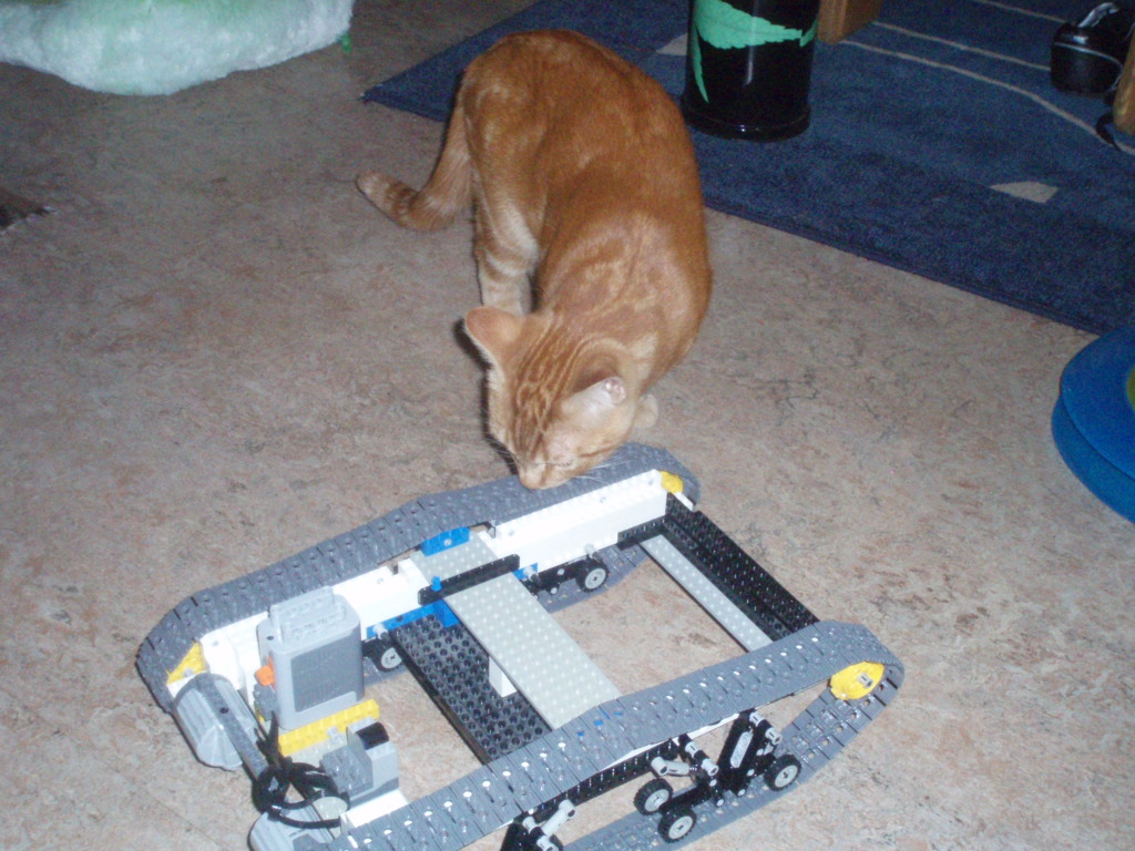 pa103398.jpg