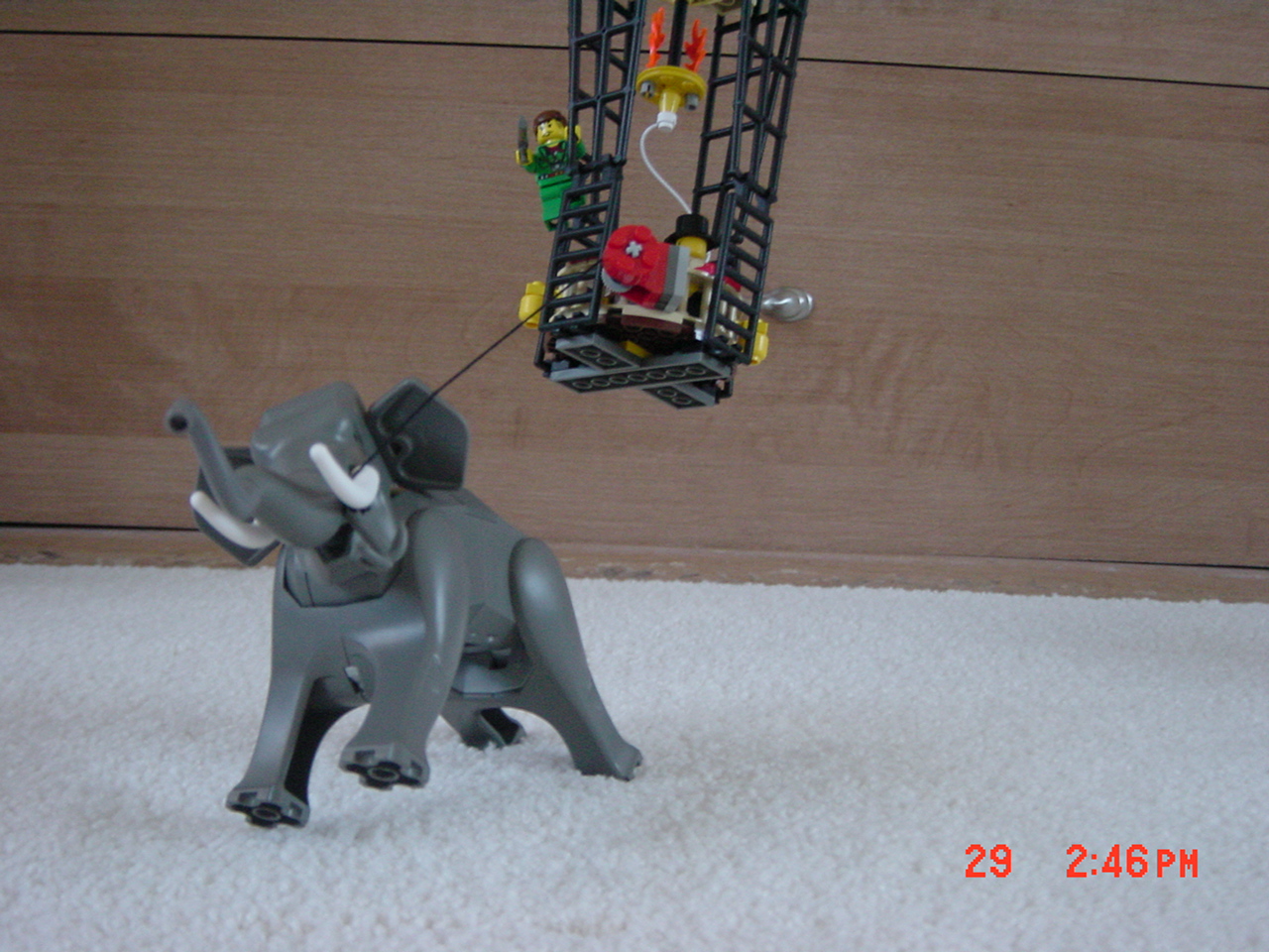 dsc07139.jpg
