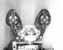 video1.gif