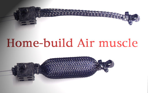 air-muscle.jpg