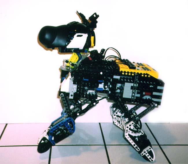 dogbot1.jpg