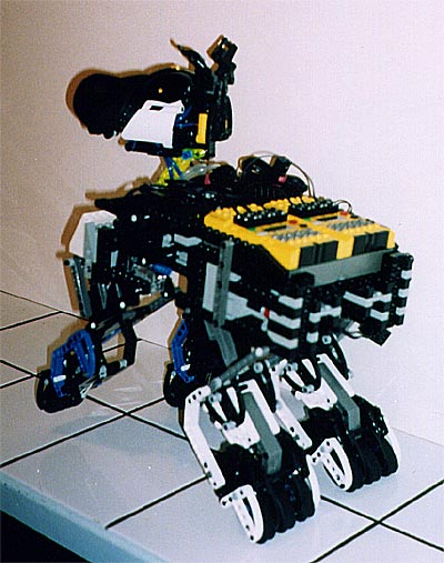 dogbot2.jpg