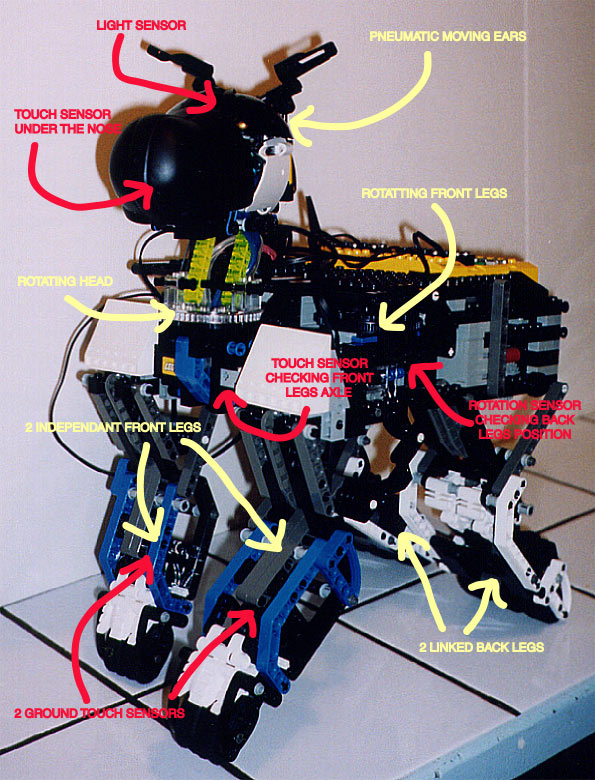 dogbot3ref.jpg