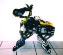 dogbot1