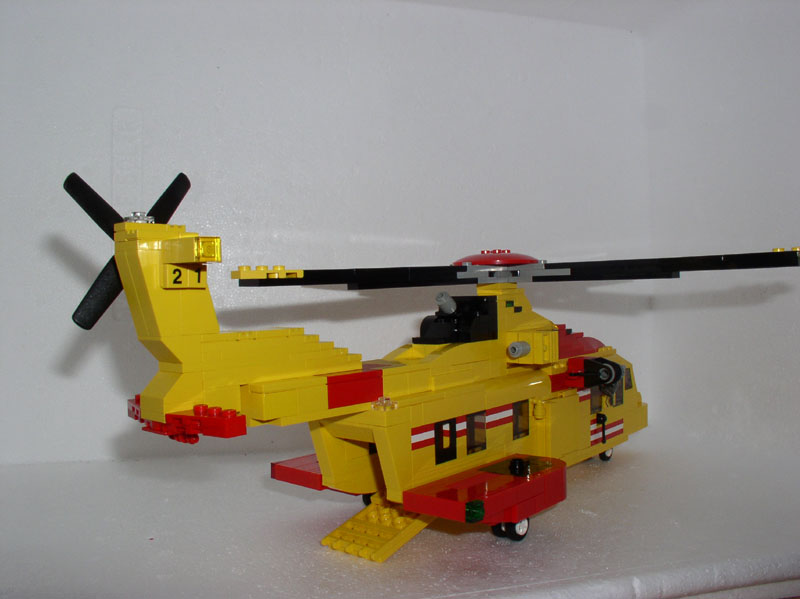 cormorant_008.jpg