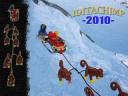iditachimp_002.jpg