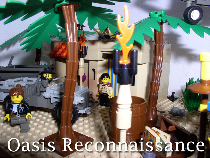 oasis_recon_02.jpg