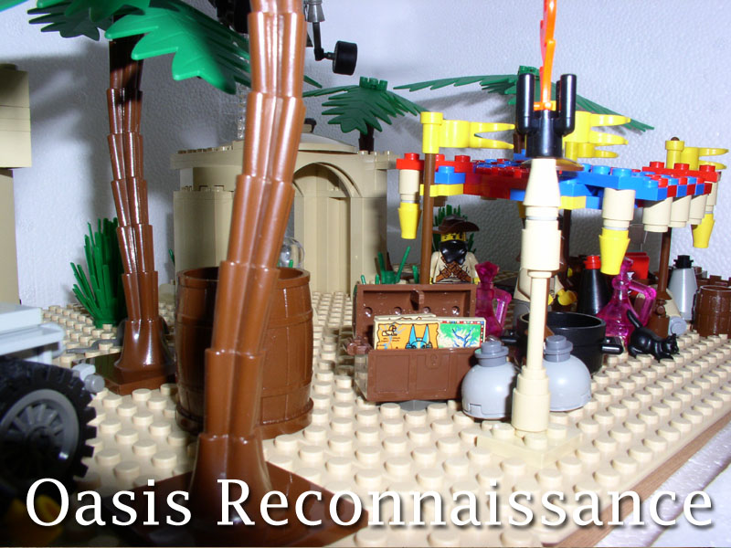 oasis_recon_06.jpg