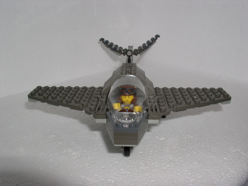 libelle_006.jpg