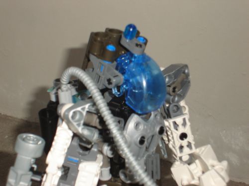 dsc00113.jpg