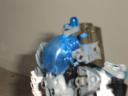 dsc00116.jpg