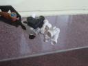 dsc00236.jpg