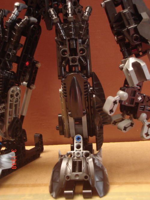 55legs.jpg