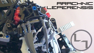 banner.jpg