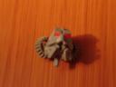 dsc07874.jpg