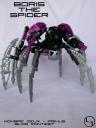 Boristhespider